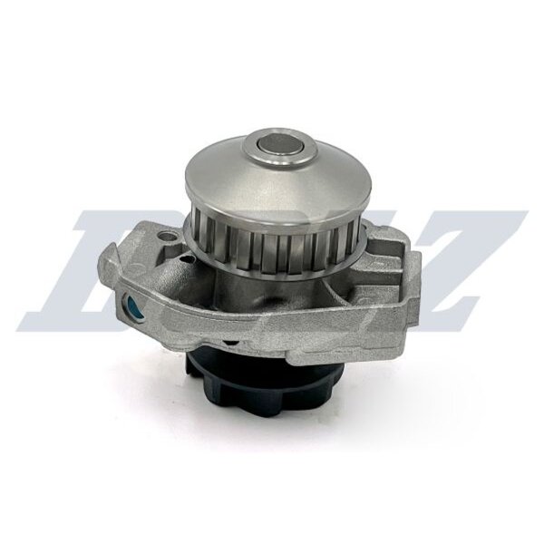 DOLZ S161 Wasserpumpe, Motorkühlung