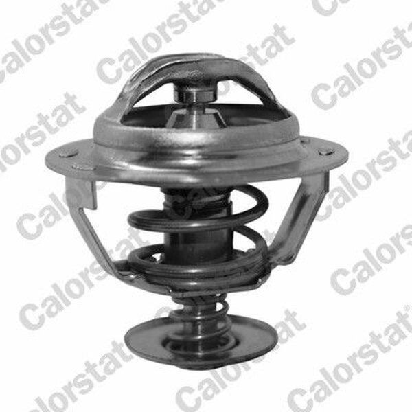 CALORSTAT by Vernet TH5130.83J Thermostat, Kühlmittel
