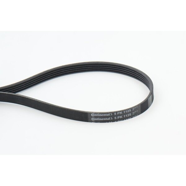CONTINENTAL CTAM 5PK1125 Keilrippenriemen