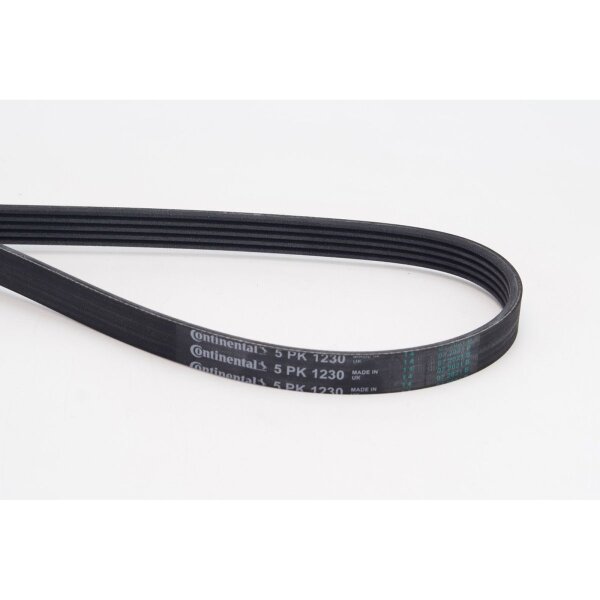 CONTINENTAL CTAM 5PK1230 Keilrippenriemen