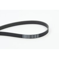 CONTINENTAL CTAM 6PK1795 Keilrippenriemen