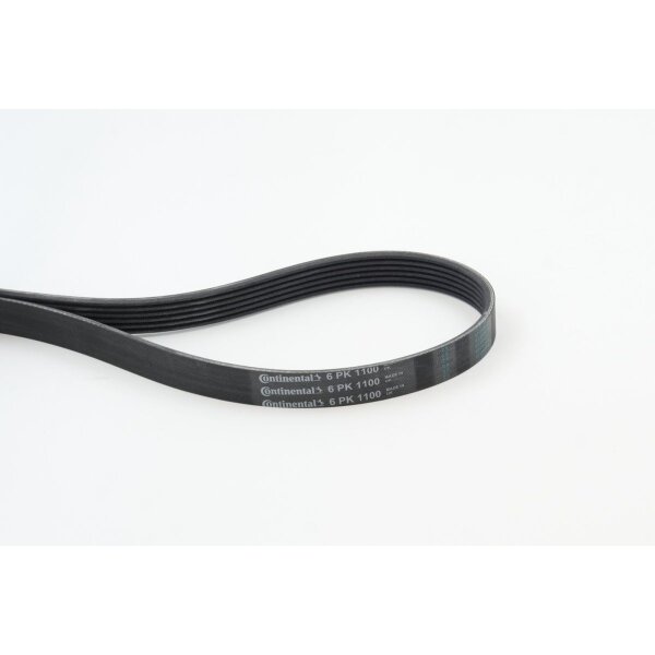 CONTINENTAL CTAM 6PK1100 Keilrippenriemen