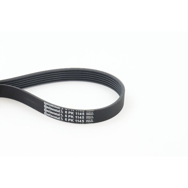 CONTINENTAL CTAM 6PK1145 Keilrippenriemen