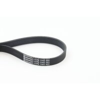 CONTINENTAL CTAM 6PK1145 Keilrippenriemen