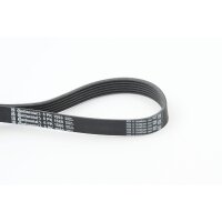 CONTINENTAL CTAM 6PK1560 Keilrippenriemen