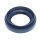 PAYEN NJ452 Wellendichtring, Differential