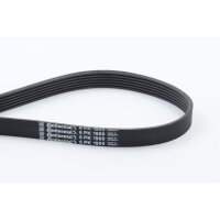 CONTINENTAL CTAM 6PK1900 Keilrippenriemen