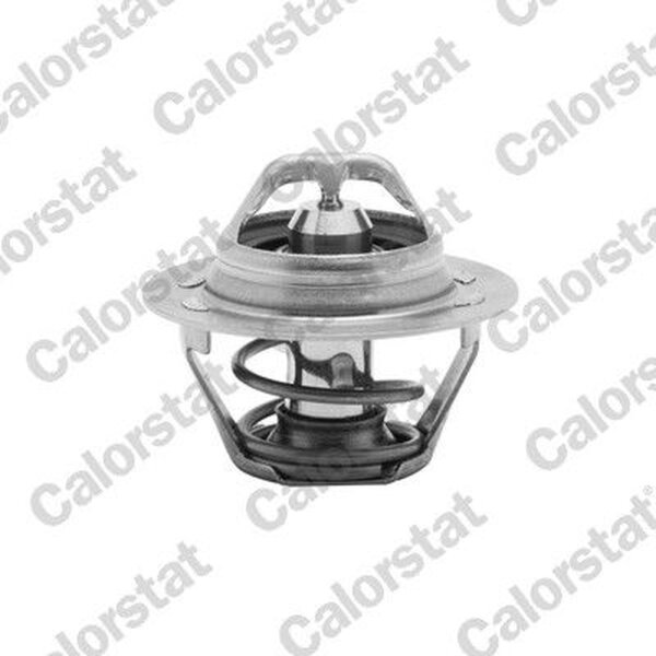 CALORSTAT by Vernet TH6047.89J Thermostat, Kühlmittel