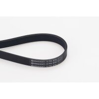 CONTINENTAL CTAM 6PK976 Keilrippenriemen