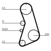 CONTINENTAL CTAM CT919 Zahnriemen