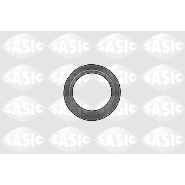 SASIC 1213093 Wellendichtring, Differential