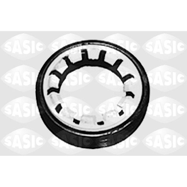 SASIC 1213263 Wellendichtring, Differential