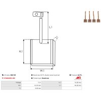 AS-PL BSX139 Kohlebürste, Starter