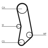CONTINENTAL CTAM CT503 Zahnriemen