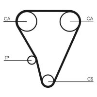 CONTINENTAL CTAM CT555 Zahnriemen