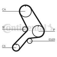 CONTINENTAL CTAM CT619 Zahnriemen