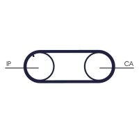 CONTINENTAL CTAM CT645 Zahnriemen