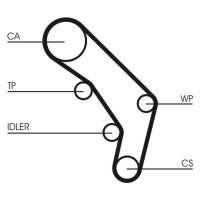 CONTINENTAL CTAM CT755 Zahnriemen