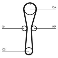 CONTINENTAL CTAM CT915 Zahnriemen