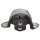 FEBI BILSTEIN 05127 Lagerung, Motor