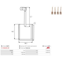 AS-PL BSX75 Kohlebürste, Starter