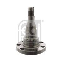 FEBI BILSTEIN 08340 Achszapfen, Achskörper