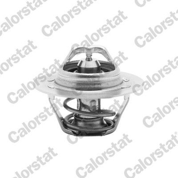 CALORSTAT by Vernet TH6045.89J Thermostat, Kühlmittel