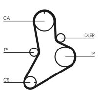 CONTINENTAL CTAM CT989 Zahnriemen