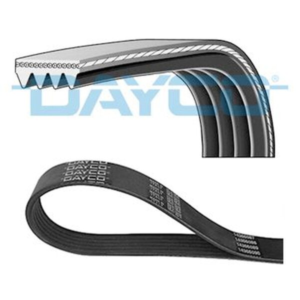 DAYCO 4PK910 Keilrippenriemen