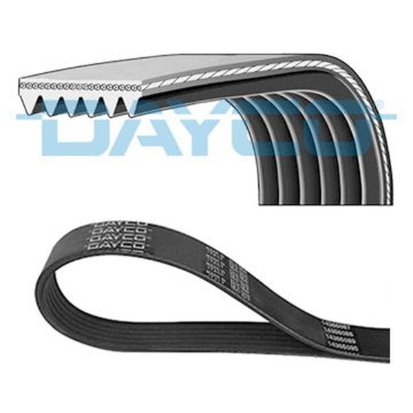 DAYCO 6PK1650 Keilrippenriemen
