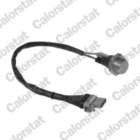 CALORSTAT by Vernet TS1958 Temperaturschalter,...