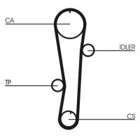 CONTINENTAL CTAM CT942 Zahnriemen