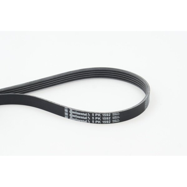 CONTINENTAL CTAM 5PK1592 Keilrippenriemen