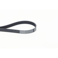 CONTINENTAL CTAM 6PK1195 Keilrippenriemen