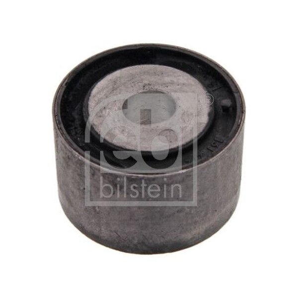FEBI BILSTEIN 10843 Lagerung, Differential