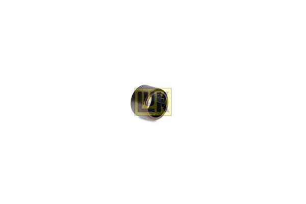 Schaeffler LuK 410 0009 10 Führungslager, Kupplung