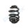 PROFLEX AUTOMOTIVE PX1-0245 Fahrwerksfeder