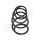 PROFLEX AUTOMOTIVE PX1-0253 Fahrwerksfeder