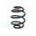 PROFLEX AUTOMOTIVE PX1-0269 Fahrwerksfeder