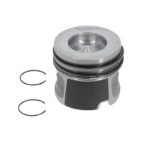 NÜRAL 87-432200-00 Kolben