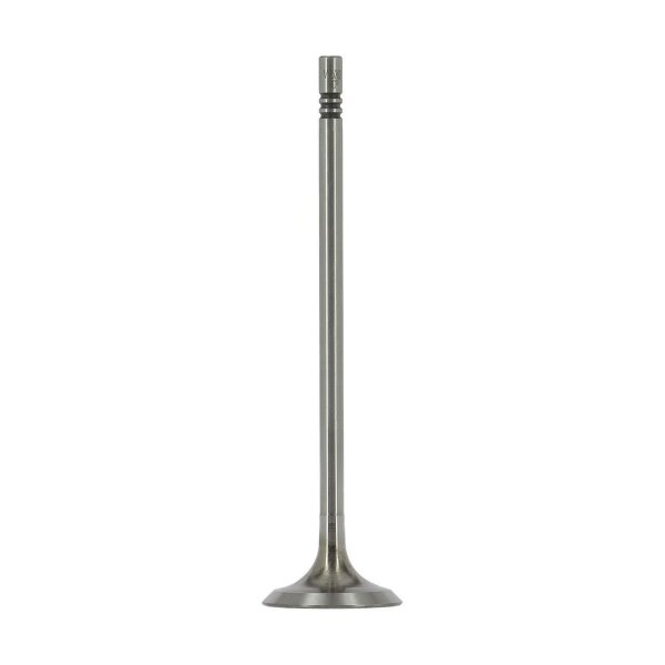 AE V95262 Einlassventil