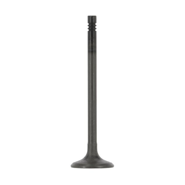 AE V95264 Einlassventil