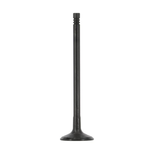 AE V95266 Einlassventil