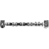 AE CAM1014 Nockenwelle