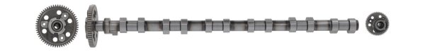 AE CAM1016 Nockenwelle