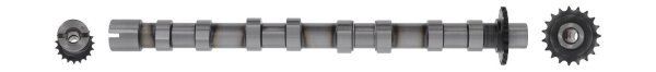 AE CAM1018 Nockenwelle
