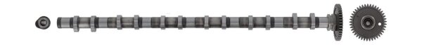 AE CAM1021 Nockenwelle