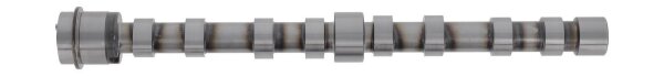 AE CAM1027 Nockenwelle