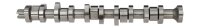 AE CAM916 Nockenwelle
