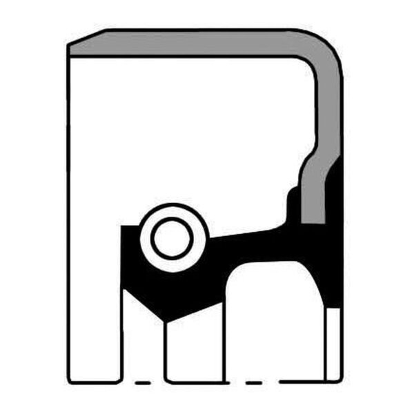 PAYEN NJ540 Wellendichtring, Differential